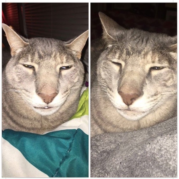 Profile Picture of Donzell Erkins (@jamesjohndd) on Poshmark