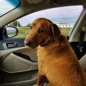 Chris Stanislawski - Twitter Profile Picture of Chris Stanislawski (@HooperSuperDupr) on Twitter