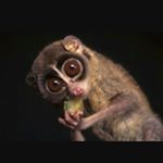 Profile Picture of cameron burnett (@cameronbertandbrie) on Instagram