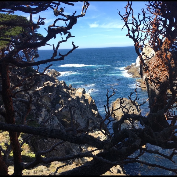 Profile Picture of Adriana Tolentino (@adri_ana55) on Poshmark