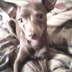 Profile Picture of Tracy Mcelhaney (@tracymc71) on Myspace