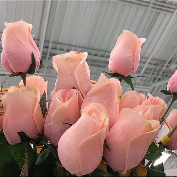 Profile Picture of Katelyn Whitney (@kwhitney0987) on Poshmark