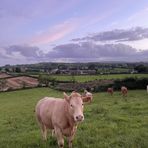 Andrew Farlow - Facebook Profile Picture of Andrew Farlow (@Andrew-Farlow) on Facebook