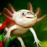 Profile Picture of Joshua Beck (@joshua-beck-79) on Quora