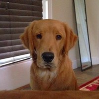 Brandon Rothstein - Quora Profile Picture of Brandon Rothstein (@brandon-rothstein-3) on Quora