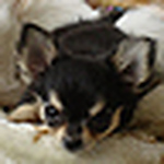 Profile Picture of s. kim (@skim.milk) on Flickr