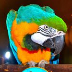 Profile Picture of Mark Bagwell (@mark.bagwell) on Instagram