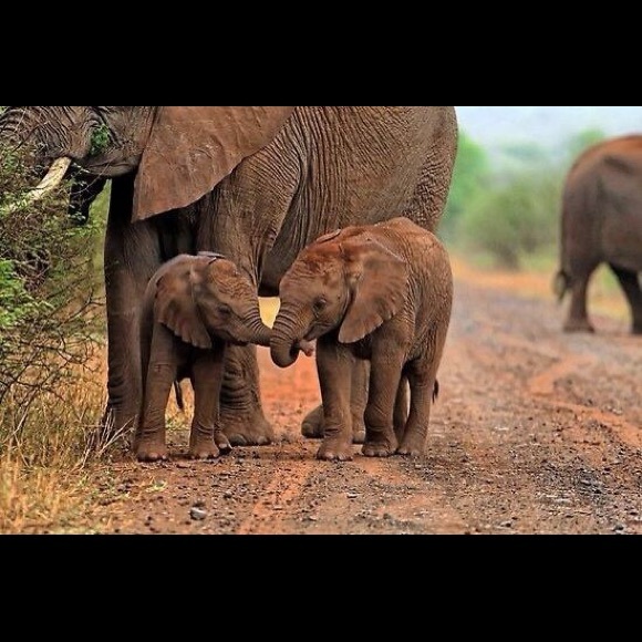 Profile Picture of Tori Newell (@torinewell) on Poshmark