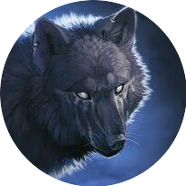 Profile Picture of Lone Wolf (@JasonPeraIta) on Twitter