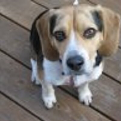 Profile Picture of Steve McMasters (@stevemcmasters) on Twitter