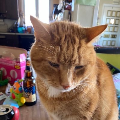 Profile Picture of Diane Schroeder (@jerseygurl60) on Twitter