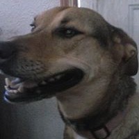 Profile Picture of Tina Clark (@tina-clark-26) on Quora