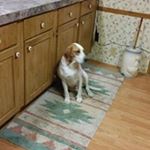 Profile Picture of Tina Triplett (@tina.triplett) on Instagram