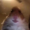 Profile Picture of Fanpage (@@andrew.aloe) on Tiktok