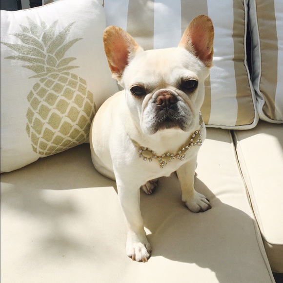 Profile Picture of Bianca Fillion (@bfillion) on Poshmark