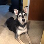 Profile Picture of Sandy Hines (@sandyhines8) on Instagram