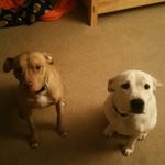 Profile Picture of tyler kimberly (@ty_kimberly_) on Instagram