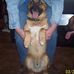 Profile Picture of Fred Olmstead (@fred.olmstead.73) on Facebook