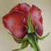 Profile Picture of Rita Fasulo (@rita.fasulo.94651) on Facebook