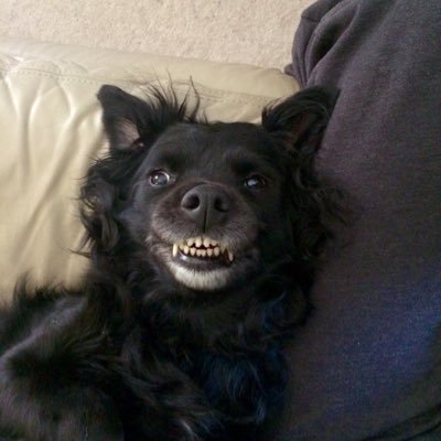Profile Picture of Miranda Olson (@Miranda77712836) on Twitter
