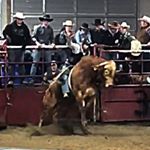 Profile Picture of Cole Michael Pfister🐂 (@colepfister_) on Instagram