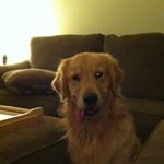 Profile Picture of Andrew Holliday (@andrew.holliday.9) on Instagram