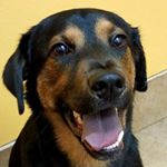 Kelli Wightman - Instagram Profile Picture of Kelli Wightman (@kelliwightman) on Instagram