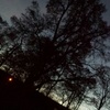 Profile Picture of Hannah (@@paulhannah) on Tiktok