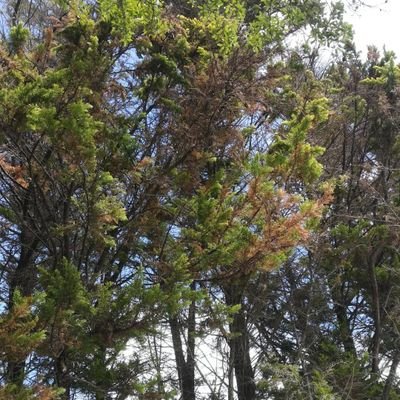 Profile Picture of Norman Ernest (@NormanErnest3) on Twitter