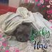 Profile Picture of Andy Makavensky (@andy.makavensky.5) on Facebook