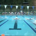 Profile Picture of Pam Stevens Barnhart (@pamstevens_) on Instagram