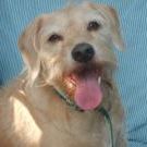 Profile Picture of Connie Keithley (@cspk61) on Pinterest