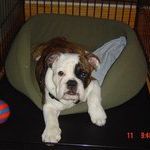 Profile Picture of Pam Gallagher (@postofficepam) on Pinterest