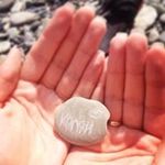 Profile Picture of Nikolay  Martynovich (@nnmartynovich) on Instagram