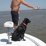 Jimmiebelleau - Instagram Profile Picture of Jimmiebelleau (@jimmiebelleau) on Instagram