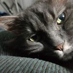 Profile Picture of Shawn Lancaster (@shawn.lancaster.129) on Instagram