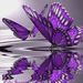 Profile Picture of Lori Toupin (@latoupin) on Pinterest