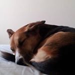 Profile Picture of Malcolm Purdy (@malcolm.purdy.52) on Instagram