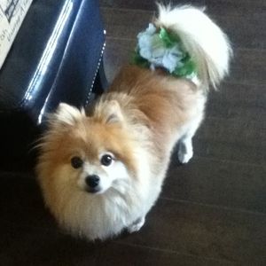 Profile Picture of Julia Wilkinson (@outcast_108) on Myspace