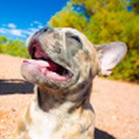 Profile Picture of Justin Flemming (@justin-flemming-11) on Quora