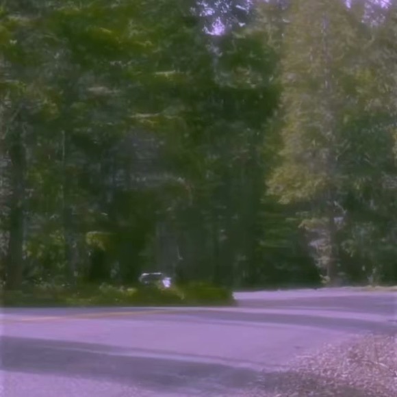 Profile Picture of Steven Caballero (@stevencaball408) on Poshmark