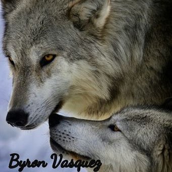 Profile Picture of Byron Vasquez (@Byronvasquez3) on Twitter