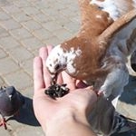 Profile Picture of regan garrett (@garrettregan1928) on Instagram