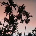 Profile Picture of bRiKeS (@brian.karo) on Instagram