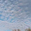 Profile Picture of monsi✨️🍒 (@monsi.constantino) on Tiktok