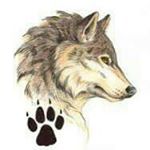 Profile Picture of Chris Mangum (@wolfloup) on Instagram