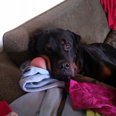 Profile Picture of Kurt Sampson (@sampson_kurt) on Twitter