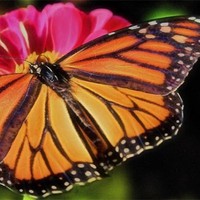 Profile Picture of Barbara Haley (@barbara-haley-20) on Quora