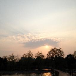 Profile Picture of Mavis Huang (@Foxsshome) on Twitter