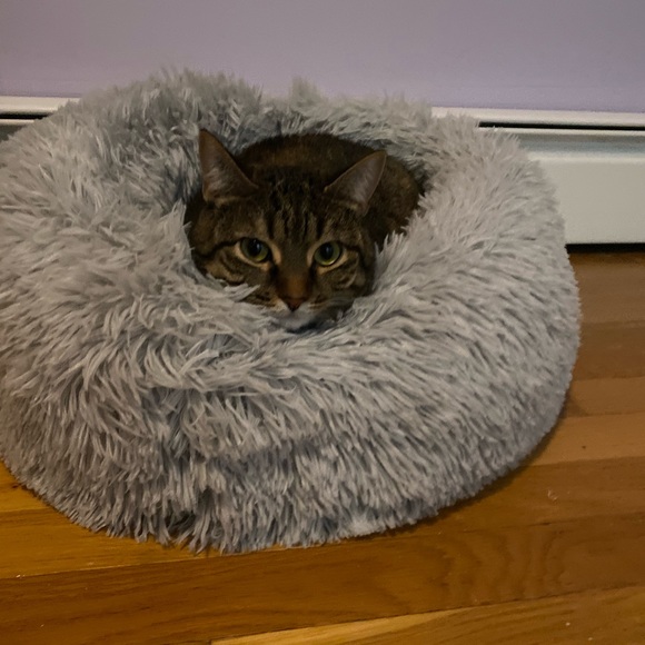 Alexis Duda - Poshmark Profile Picture of Alexis Duda (@alexis_duda) on Poshmark